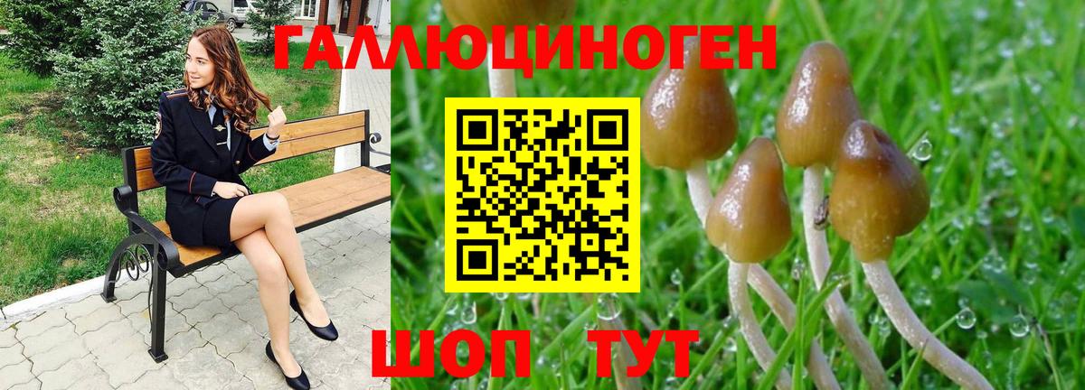 Железногорск  Псилоцибиновые грибы Psilocybe  Вход с VPN 